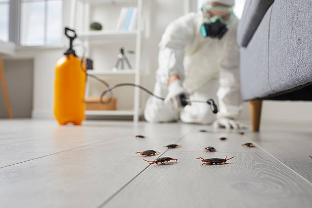 Commercial Kitchen Cockroach Control in Central Islip